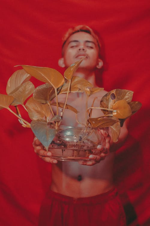 有关个性, 人, 个性的免费素材图片