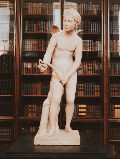 有关室内, 书架, 灰色混凝土的免费素材图片