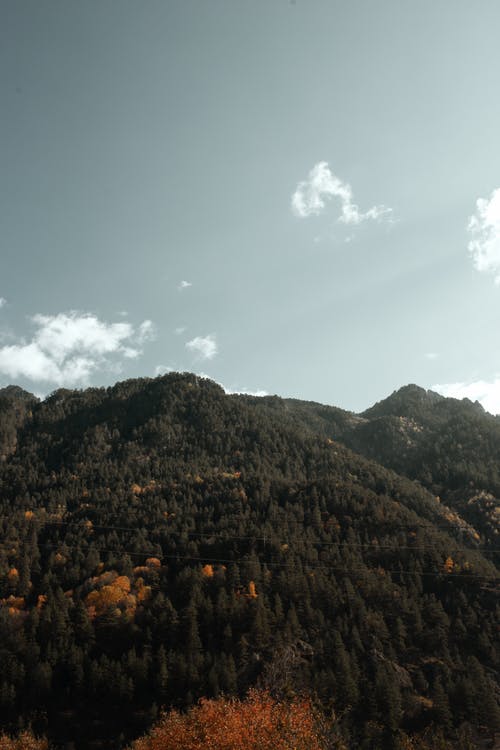 有关冷静, 和平的, 和谐的免费素材图片