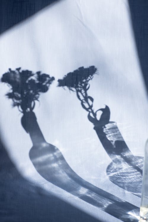 有关创作的, 半透明, 圆的免费素材图片