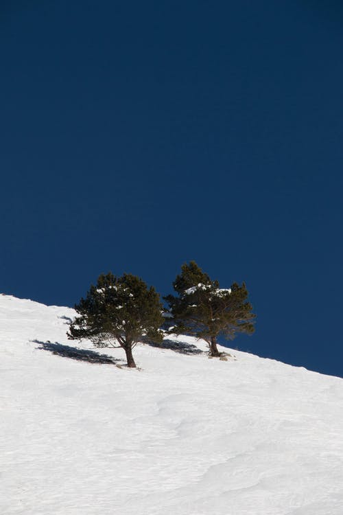 有关冬季, 冷, 冷冻的免费素材图片