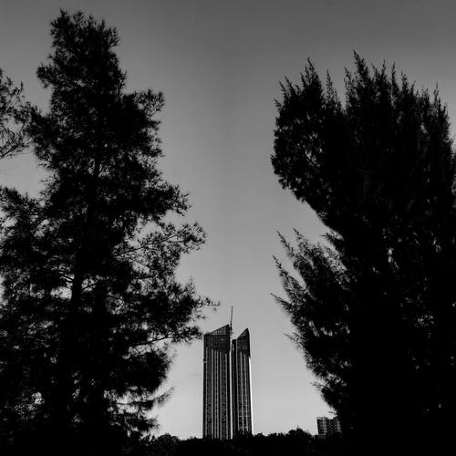 有关bw, 中央, 从下面的免费素材图片