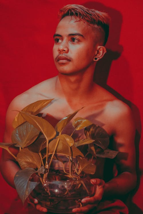 有关个性, 人, 个性的免费素材图片