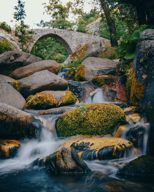 有关华丽的, 地形, 垂直拍摄的免费素材图片
