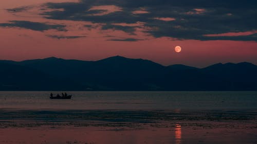 有关人, 冒险, 冷静的免费素材图片