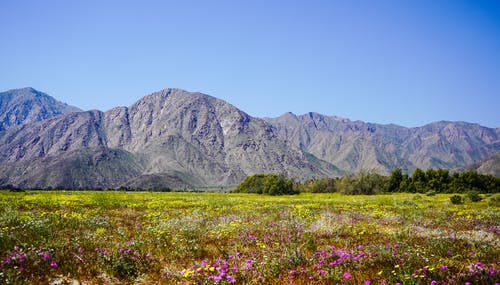 有关mountians, 乾草地, 加州的免费素材图片