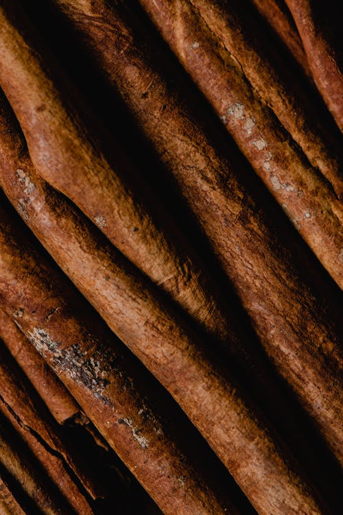 棕色和黑色木棍 · 免费素材图片