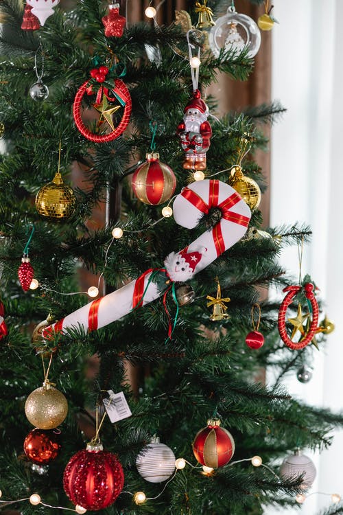 绿色圣诞树与金色的小玩意和红色和白色的条纹的拐杖糖 · 免费素材图片
