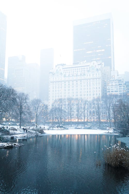 有关中央公园, 公园, 冬季的免费素材图片