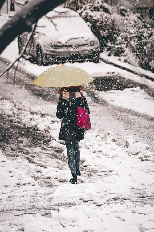 有关下雪, 垂直拍摄, 大雪覆盖的免费素材图片