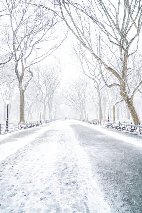 有关人行道, 公园, 冬季的免费素材图片