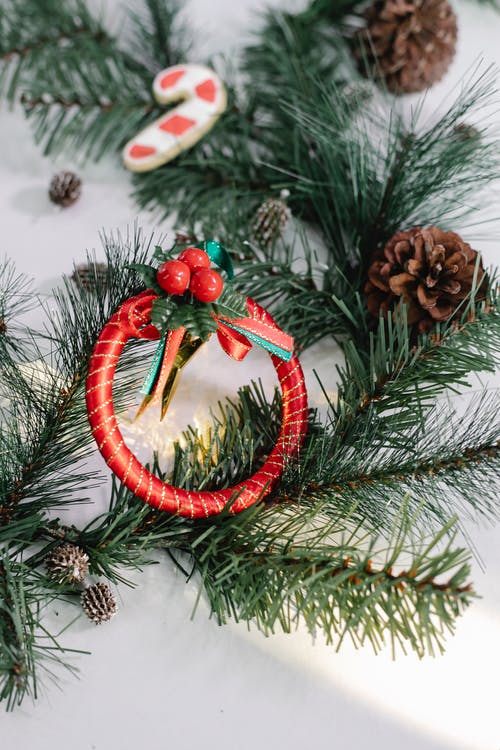 红色和棕色的松果，绿色的松树上 · 免费素材图片