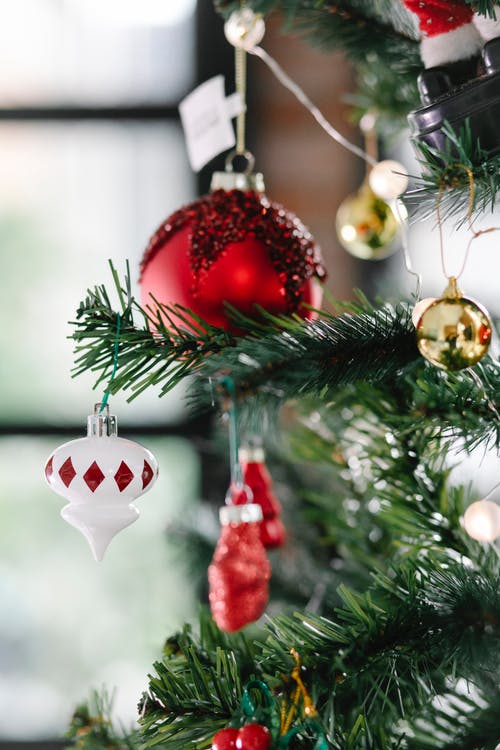 绿色的圣诞树上的红色和金色的小玩意 · 免费素材图片