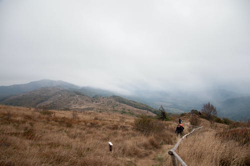 有关人行道, 健行, 冒险的免费素材图片