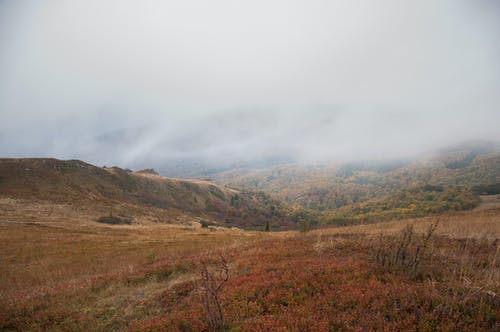 有关乾的, 冷静, 土地的免费素材图片