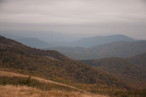 有关地平线, 场景, 坏心情的免费素材图片