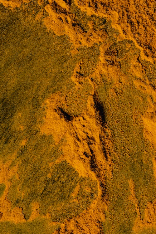 棕沙与人的影子 · 免费素材图片