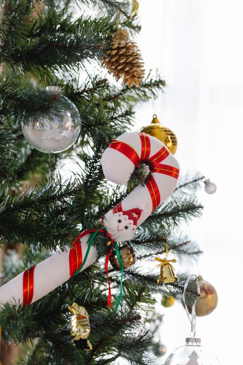 绿色圣诞树的小玩意和灯串 · 免费素材图片