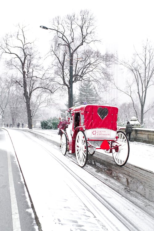 有关二月, 传统, 优雅的免费素材图片