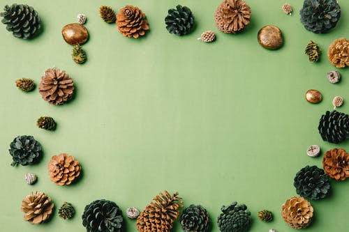 白墙上的什锦的水果墙装饰 · 免费素材图片