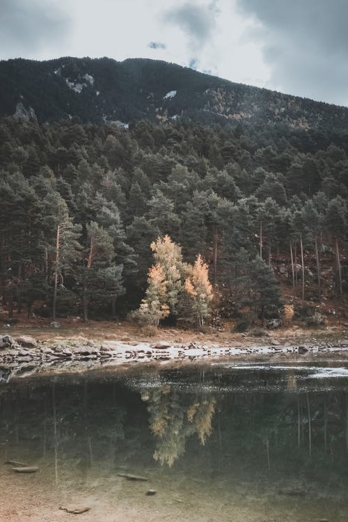 有关不变, 严重, 僵硬的免费素材图片