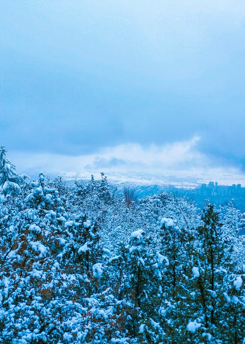 有关光, 冬季, 冷的免费素材图片