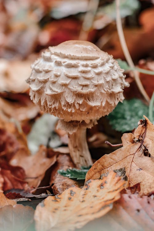 有关圆形, 地面, 垂直拍摄的免费素材图片