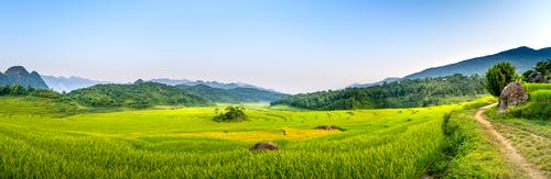 有关全景, 农艺学, 土地的免费素材图片