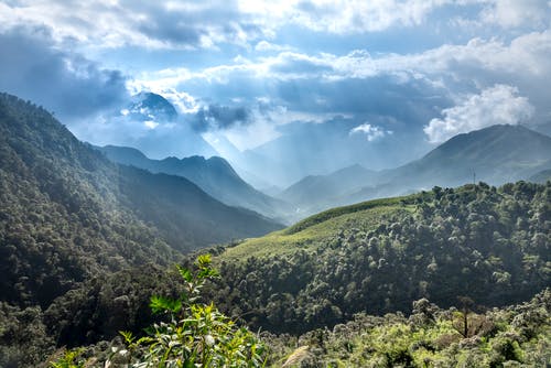 有关不变, 不均匀的, 不规则的免费素材图片
