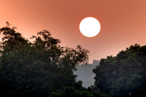 有关光, 分公司, 华丽的的免费素材图片