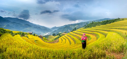 有关全景, 划船, 劳工的免费素材图片