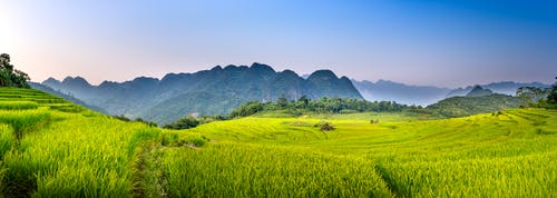 有关全景, 农艺学, 土地的免费素材图片