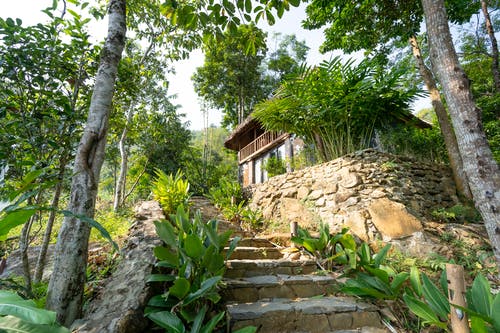 有关低角度, 假日, 假期的免费素材图片