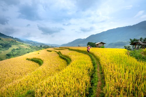 有关不露面, 劳工, 匿名的免费素材图片