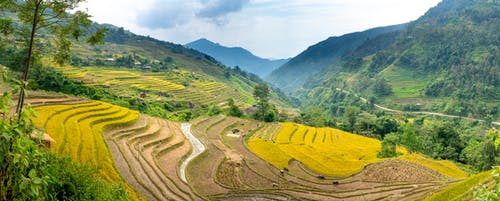 有关传统, 全景, 农艺学的免费素材图片