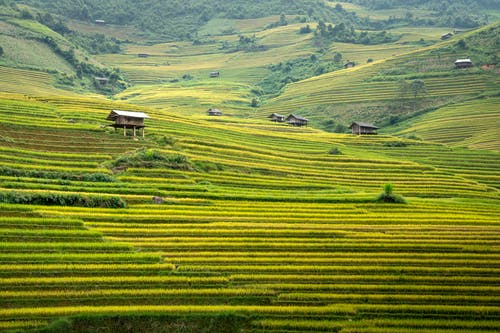 有关冷静, 和平的, 和谐的免费素材图片