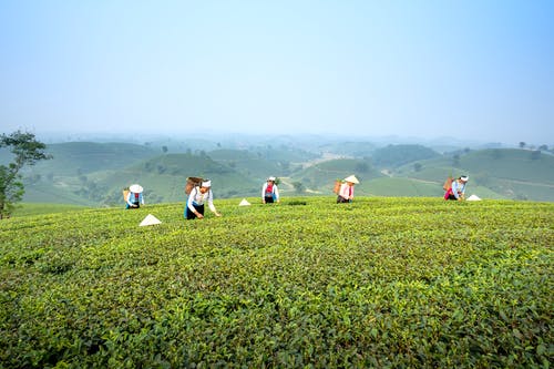 有关人, 劳工, 同事的免费素材图片