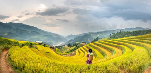 有关不露面, 全景, 划船的免费素材图片