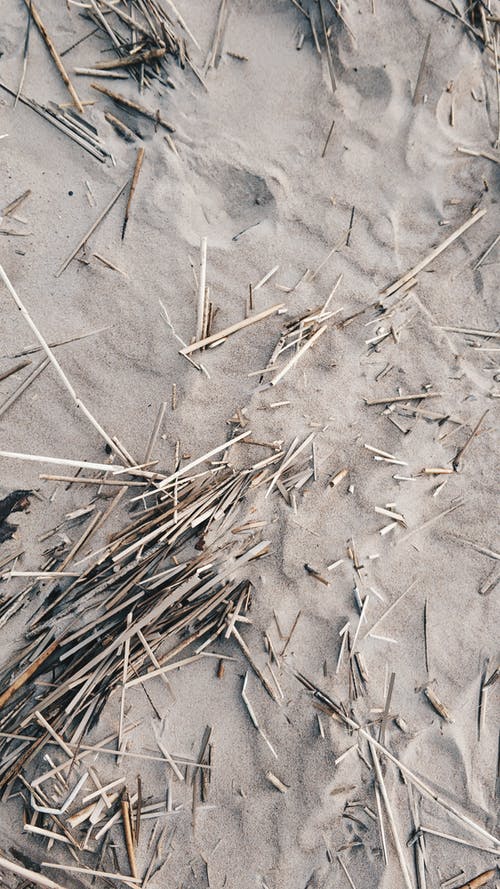 有关Copyspace, 一般开销, 不变的免费素材图片