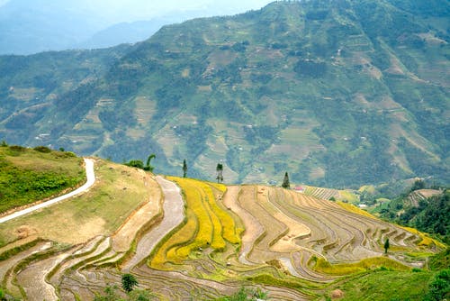 有关和平的, 国家, 土地的免费素材图片