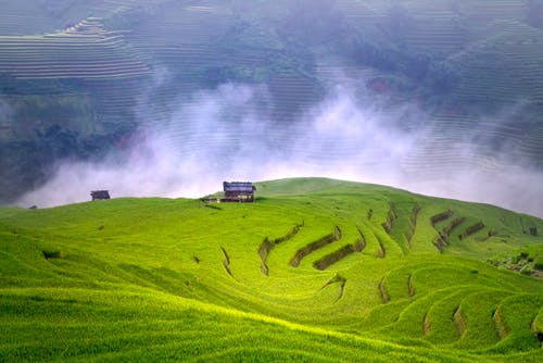 有关光, 和平的, 地平线的免费素材图片