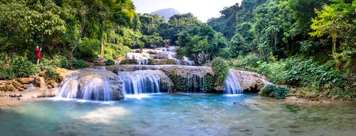 有关下落, 全景, 丛林的免费素材图片