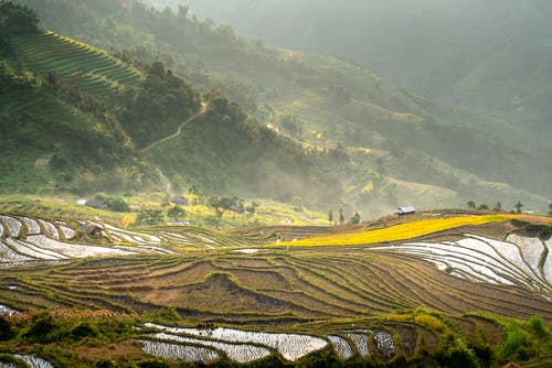 有关和平的, 国家, 土地的免费素材图片