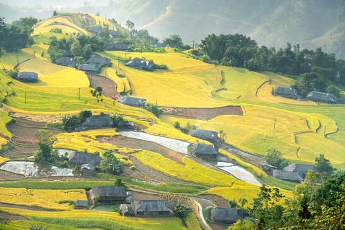 有关住, 住宅, 农艺学的免费素材图片