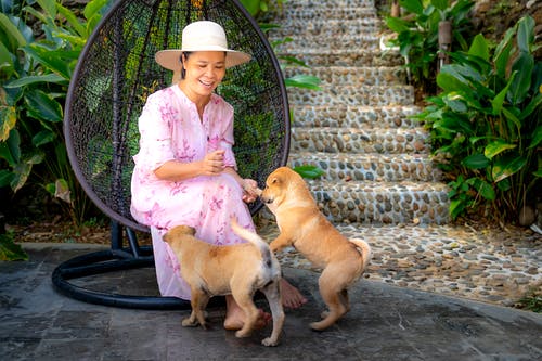 有关中年, 休息, 休息室的免费素材图片