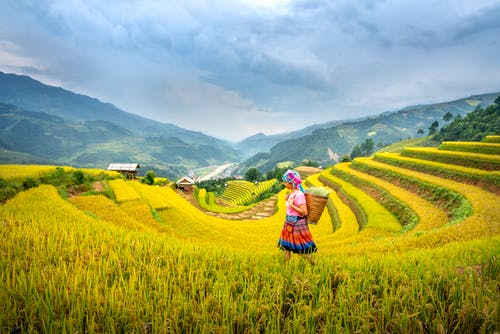 有关侧面图, 劳工, 地平线的免费素材图片