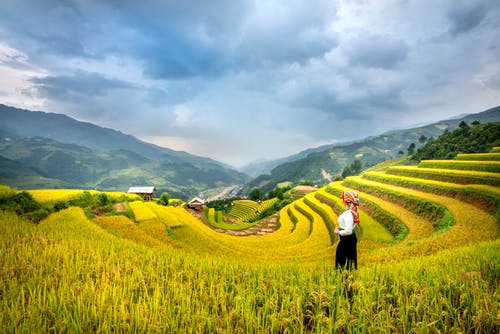 有关不露面, 侧面图, 匿名的免费素材图片