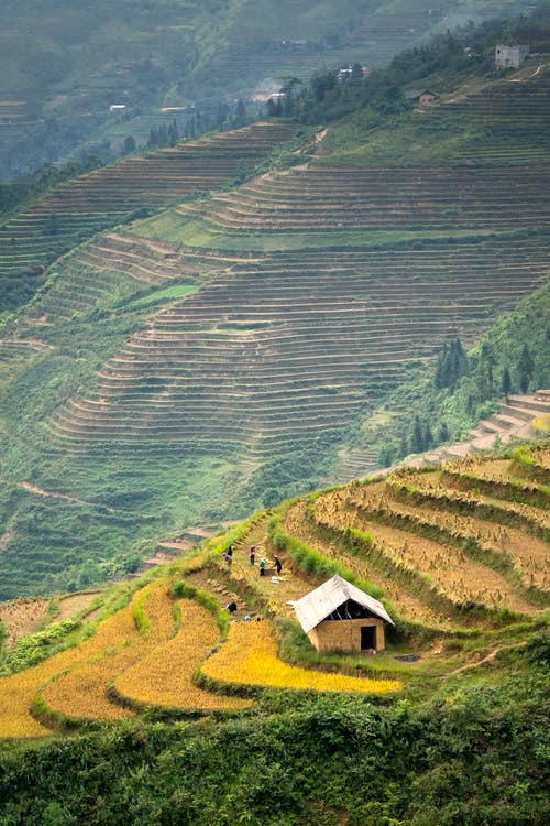 有关和平的, 国家, 土地的免费素材图片