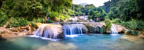 有关下落, 全景, 丛林的免费素材图片