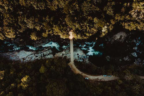 有关从上面, 户外, 森林的免费素材图片